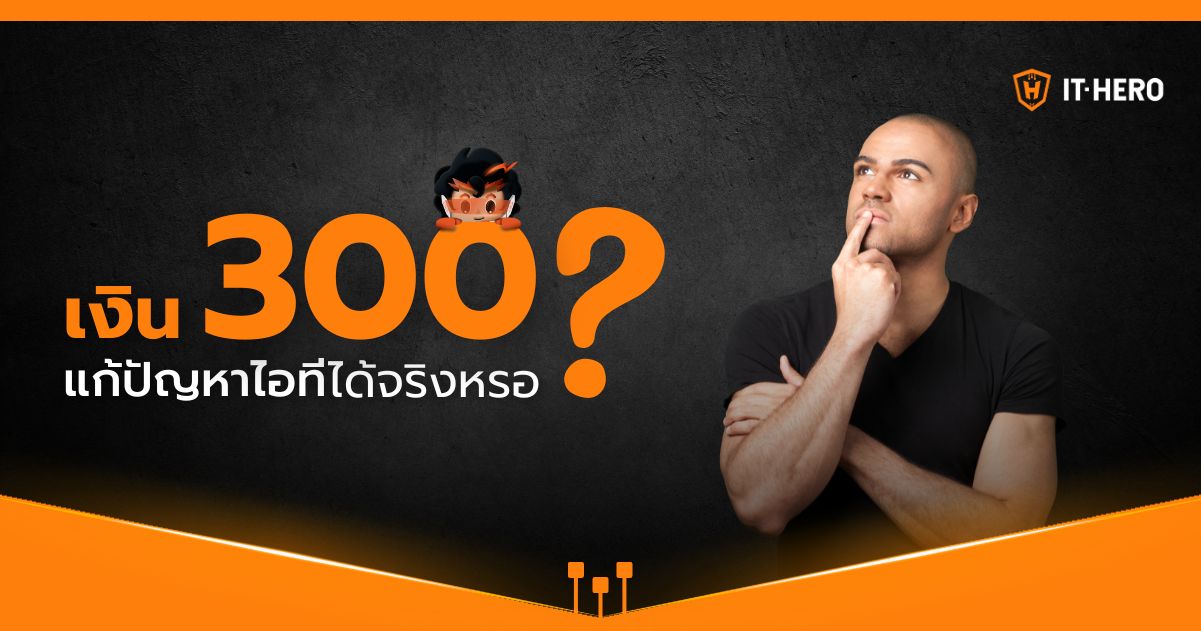 เงิน 300 แก้ปัญหาไอทีได้จริงหรอ?
