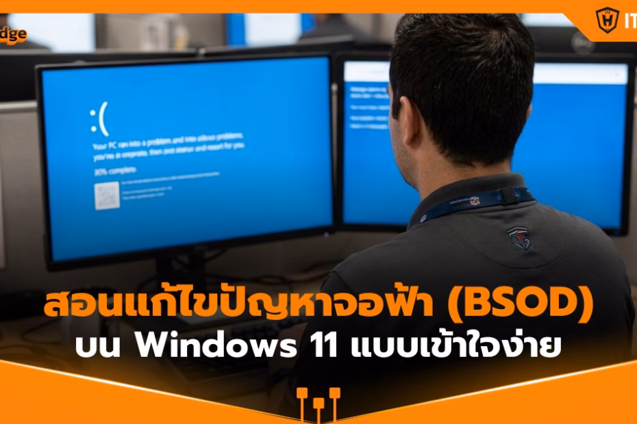 IT Hero-IT Support & Solutions- SME- Blue Screen (1)
